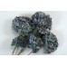 HYDRANGEA MACROPHYLLA 10" Blue